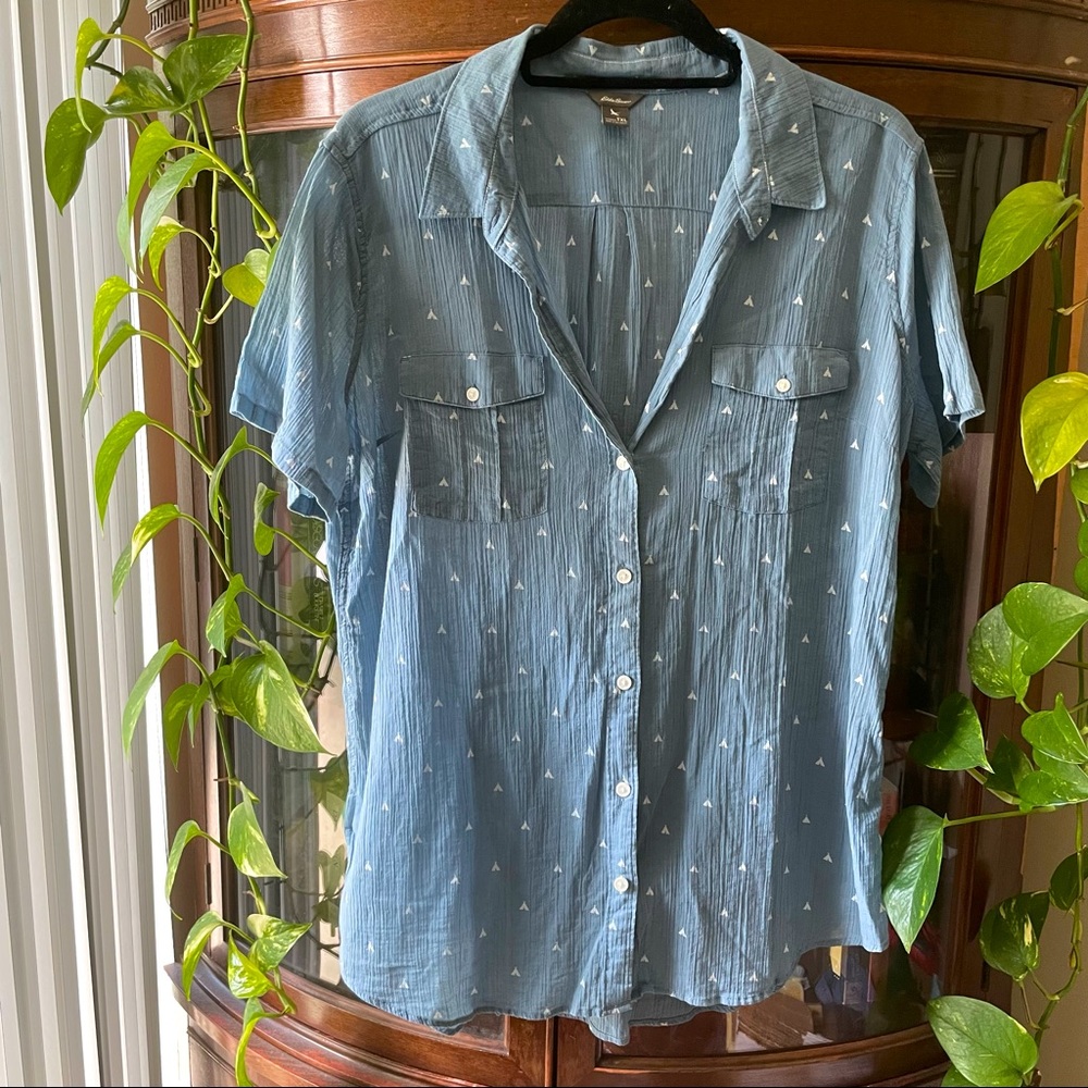 Eddie Bauer sheer button down